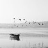 ameena_taher
