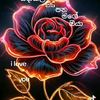 faruuk.fatheema