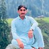 zalmy9655