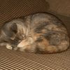 cherylgunter3