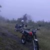 rrifqq