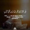 mohamedshami11