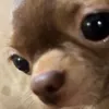 ari15na0