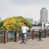 somegoreng02