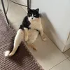 claudete.teixeira89