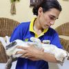faruk_hafiz27
