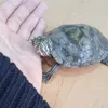 alejandro_0811