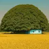 www.tiktok.com25010