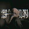 moazmahmoud969