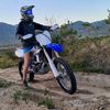 wilko_586