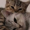 nour.__.kazbour