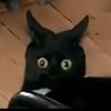 .vexxgoth