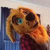 buddy_golden_retriver10