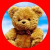 PeriodBear