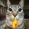 akmal_mewing