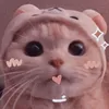 trinhquynh304