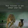 mohamedalii2628