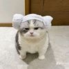 i_ksj91