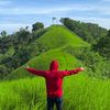 Muslimin95_