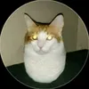 _godathur22_