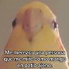 andosburrido