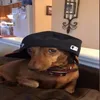 kamas_1488