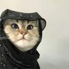 zainabsheikh398