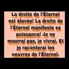 user8114138441714