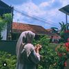 x_lalafiann