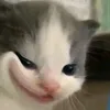 dydt1ckmkkdm