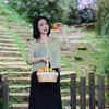 Ngọc Diệp 164