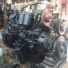 sugiharto479