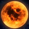 jasser_401