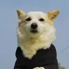 kanxu_ki78