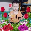 daiduong8172