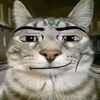 kntzhxxerka