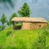 mohammadhanif4678