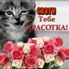 lisarix1121
