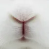 yantinero
