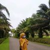boruharahap1998