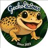 geckolicious_