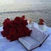 nohaadel286