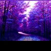 user1993_55