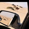 omar066om