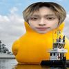 ilikepenguins80