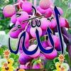 user3229076241267