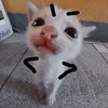 bstgl7