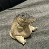 lucas_222217