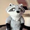 _raccoon33
