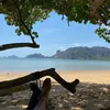 charlie_seve84